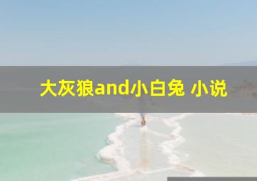 大灰狼and小白兔 小说